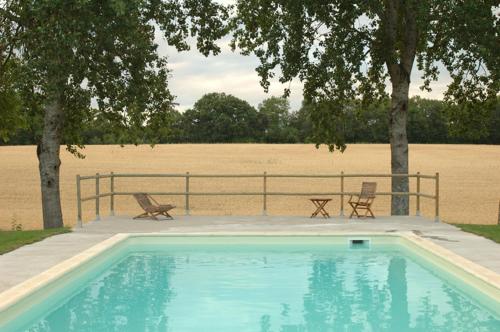 Ballan-Miré住宿加早餐酒店 - 杜沃城堡的一个带两把椅子的游泳池,位于田野旁