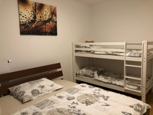 切尔尼杜尔Apartmán Jitka - Slunečná louka的一间卧室配有两张床和一张双层床。