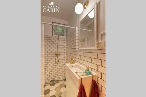诺茨瓦约Noszvaj Cabin的一间带水槽和镜子的浴室