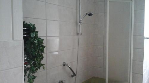 吕格德Ferienbauernhof的浴室内配有淋浴和头顶淋浴