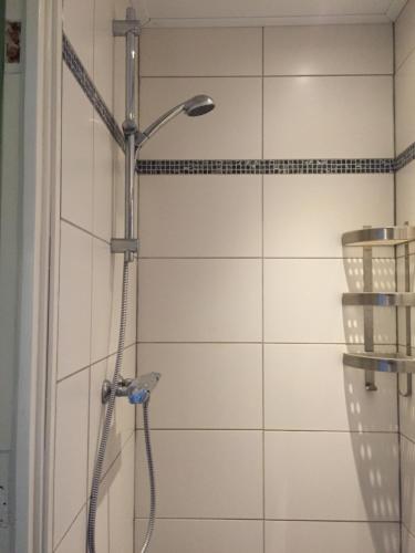 WapenveldB&B Vogelhof的浴室内配有淋浴和头顶淋浴