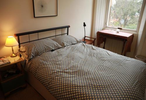 爱丁堡Woodburn Terrace, Morningside, Edinburgh的一间卧室设有床、窗户和一盏灯。