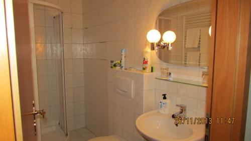 布拉格吉诺尼斯别墅旅馆的带淋浴和盥洗盆的浴室