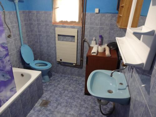 福查Apartman MILENA的浴室配有蓝色水槽、卫生间和浴缸。