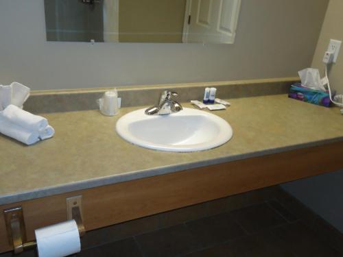 布克塔谢布克度切套房酒店的浴室柜台配有白色水槽和镜子