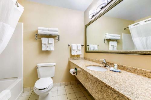 Quality Inn near Monument Health Rapid City Hospital的一间浴室