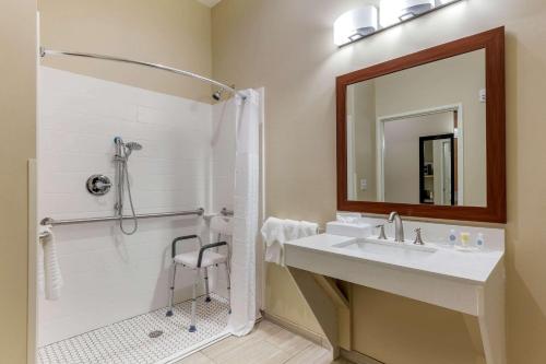 格林斯伯勒Comfort Suites Greensboro-High Point的一间带水槽、淋浴和镜子的浴室
