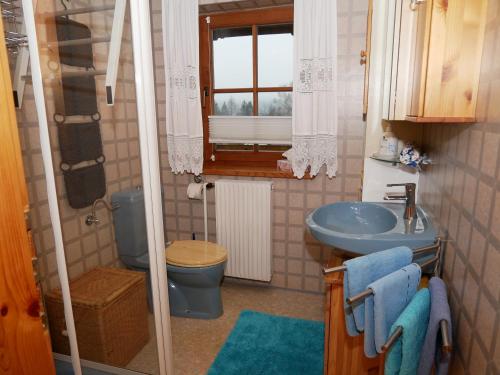 巴德哥依斯恩弗艮豪斯翰墨布内尔公寓的浴室配有蓝色水槽和卫生间。