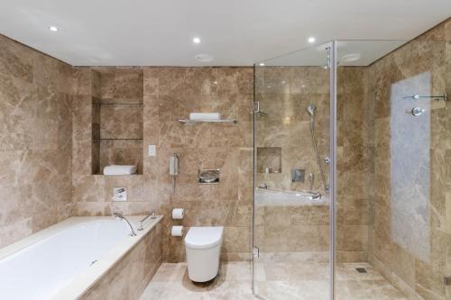 开普敦Taj Hotel Cape Town - Taj Residence suite ,let out privately的带浴缸、卫生间和淋浴的浴室。
