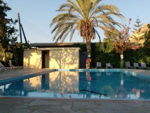 马塔拉尼奥斯马塔拉酒店的一座房子旁的游泳池,里面种着棕榈树