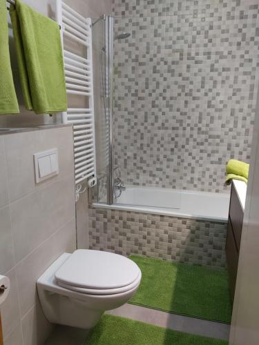 阿林萨尔Ski Station Apartments的一间带卫生间和淋浴的浴室以及绿色地毯。