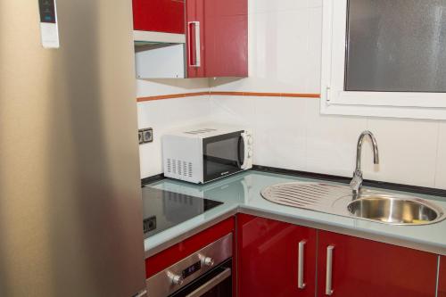 雷乌斯Apartamento Reus 2 - Parking gratuito的一间带水槽和微波炉的小厨房
