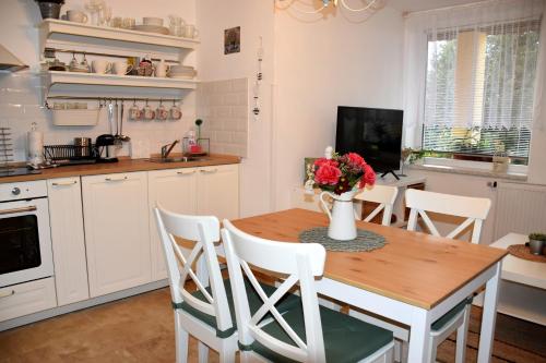 卡尔施泰因Studio Boroví的厨房以及带木桌和椅子的用餐室。