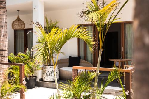 蓝梦岛Ohana's Beachfront Resort & Beach Club的客厅拥有棕榈树和沙发