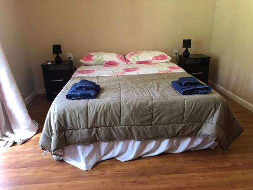 拉佩德雷拉La Posada de la Pedrera的一间卧室配有一张带2条蓝色毛巾的床