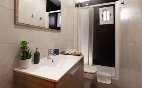 巴塞罗那圣家堂阳光顶层公寓 的一间带水槽、卫生间和镜子的浴室