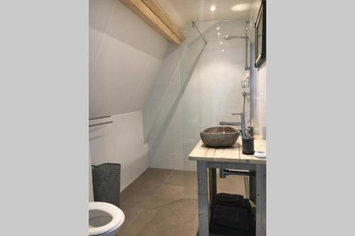 阿布考德Landelijk appartement in een mooi recreatiegebied的一间带水槽和卫生间的浴室