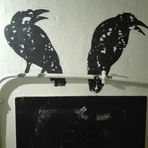 奥瓦达Studiocasarte的坐在电视机前的两只黑鸟