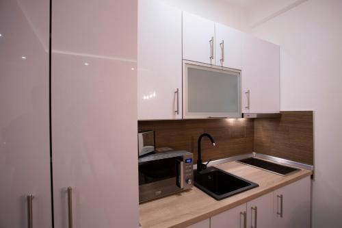 科帕奥尼克Dream Lux Apartman Kopaonik的厨房配有白色橱柜、水槽和微波炉
