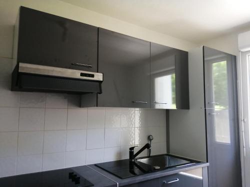 蒙彼利埃Boulevard Paul Valéry的厨房配有黑色橱柜和水槽
