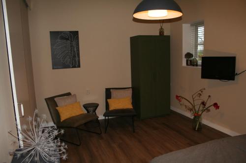 OverasseltB&B Agnetenhoeve的客厅配有两把椅子和电视