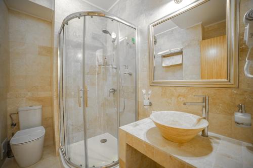 锡纳亚Imperial的一间带水槽、淋浴和卫生间的浴室
