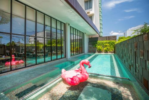 勒吉安大利维奥库塔酒店的大楼游泳池里两个粉红色火烈鸟