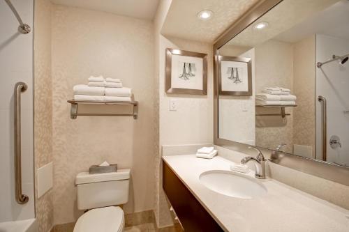 温莎温莎假日酒店-大使桥的一间带水槽、卫生间和镜子的浴室