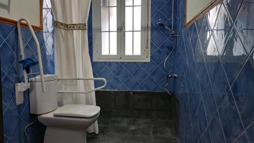 曼萨纳雷斯-埃尔雷亚尔Hotel Rural La Pedriza Original的蓝色瓷砖浴室设有卫生间和淋浴。