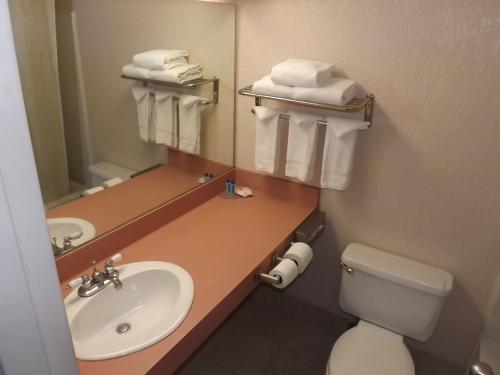 堪萨斯城KCI Lodge的一间带水槽、卫生间和镜子的浴室
