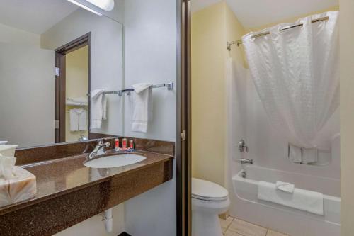 德梅因费尔格朗兹伊克诺酒店及套房的一间带水槽、卫生间和镜子的浴室