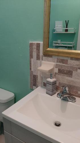 拿骚Eastwood Escape的一间带水槽、镜子和卫生间的浴室