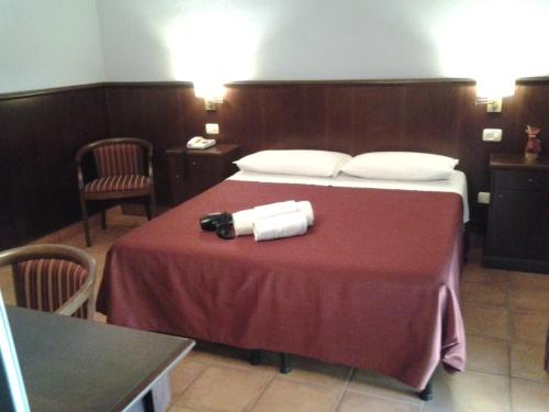 RoccamandolfiCasale Maginulfo的酒店客房,配有一张带相机的桌子的床