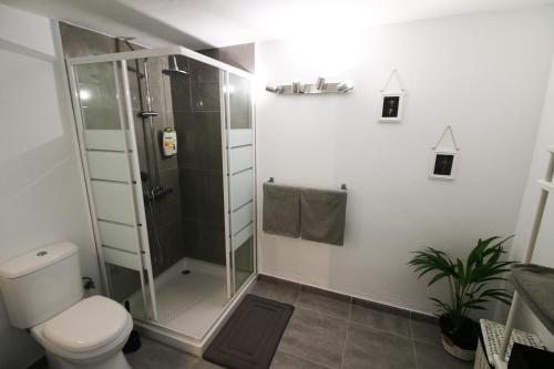 丰卡连特德拉帕尔马Surf House la Palma的带淋浴和卫生间的浴室