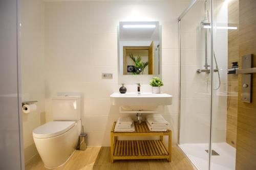 卡斯特利翁-德拉普拉纳Suites Castellón的浴室配有卫生间、盥洗盆和淋浴。