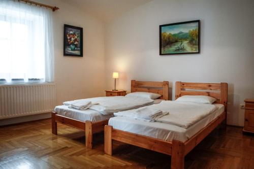 托考伊Erzsébet Pince的带窗户的客房内设有两张单人床。
