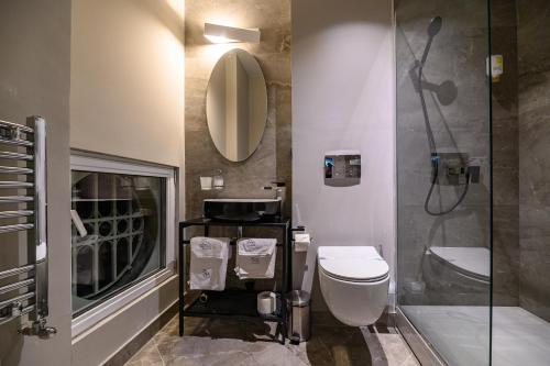 尼什嘉尼艺术洛夫特酒店的一间带卫生间、水槽和镜子的浴室