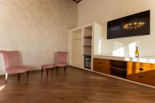比萨Fattoria L'Olmetto的客厅配有2把椅子和平面电视