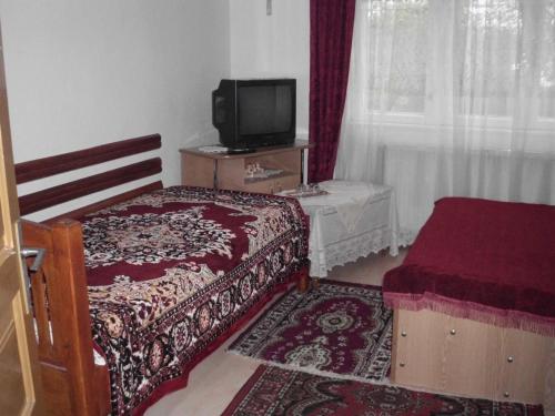 布雷亚扎Vila Mihaela的一间卧室配有一张床和一张桌子上的电视