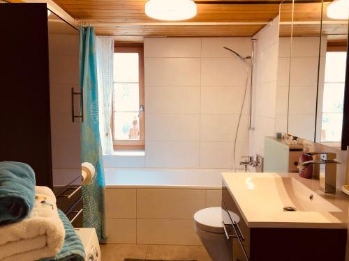 ErmatingenIdyllische Ferienwohnung am See的带浴缸、卫生间和盥洗盆的浴室