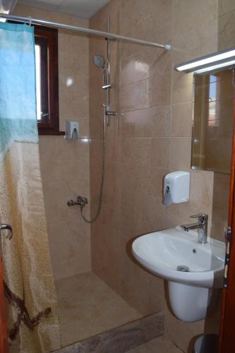 普罗夫迪夫Vesi's Rooms的带淋浴和盥洗盆的浴室