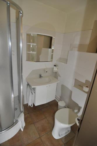 多瑙河畔克雷姆斯Gästehaus Einzinger的浴室配有卫生间、盥洗盆和淋浴。