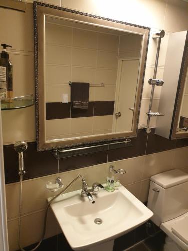 南海郡南海纽豪斯酒店的一间带水槽、镜子和卫生间的浴室
