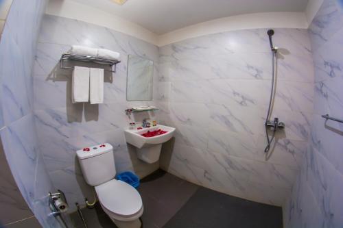 仰光Botahtaung Hotel的一间带卫生间和水槽的浴室