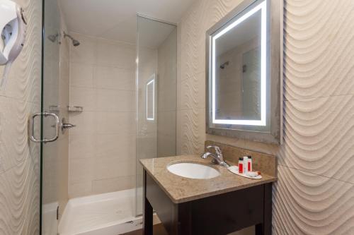 南哈肯萨克南哈肯萨克温德姆旅程酒店的一间带水槽和淋浴的浴室