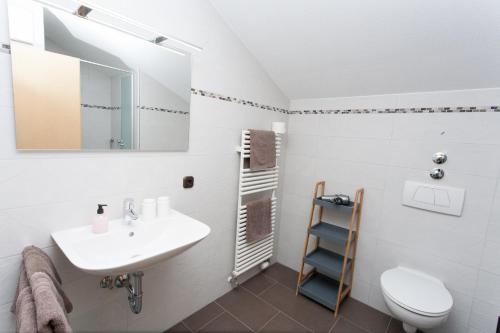 奥伯斯特多夫Fideliushaus的一间带水槽、卫生间和镜子的浴室