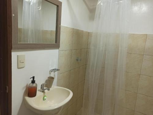 洛哈Habitaciones Alkimya的浴室配有盥洗盆和带镜子的淋浴