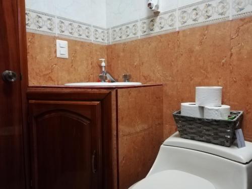 科尔多瓦Finca La Laguna的一间带卫生间和水槽的浴室