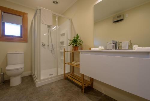 箭镇威洛布鲁克乡间公寓的带淋浴、卫生间和盥洗盆的浴室