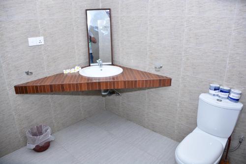 坦加拉Little Sunshine Guest House & Restaurant的一间带水槽、卫生间和镜子的浴室
